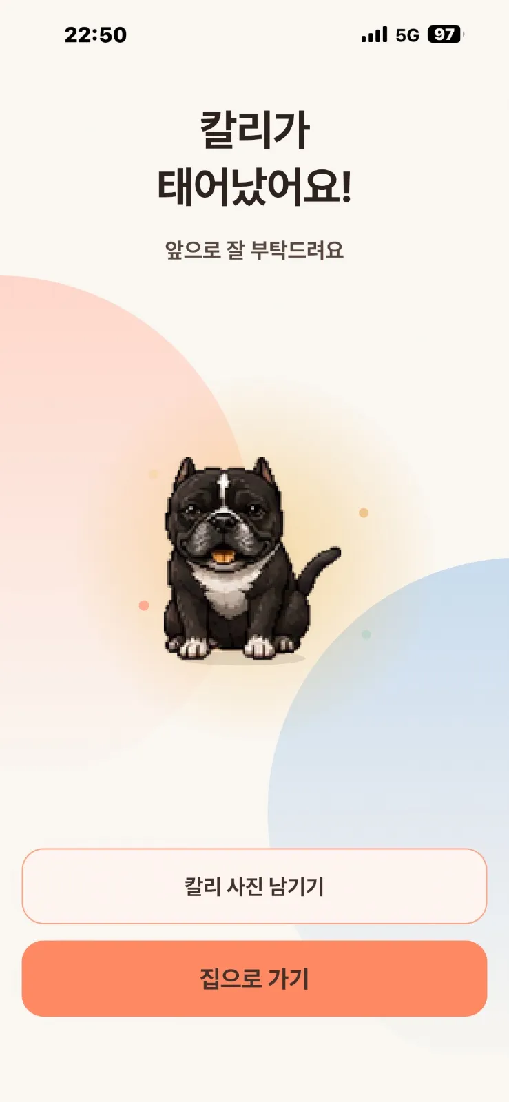 피드백 사진 1