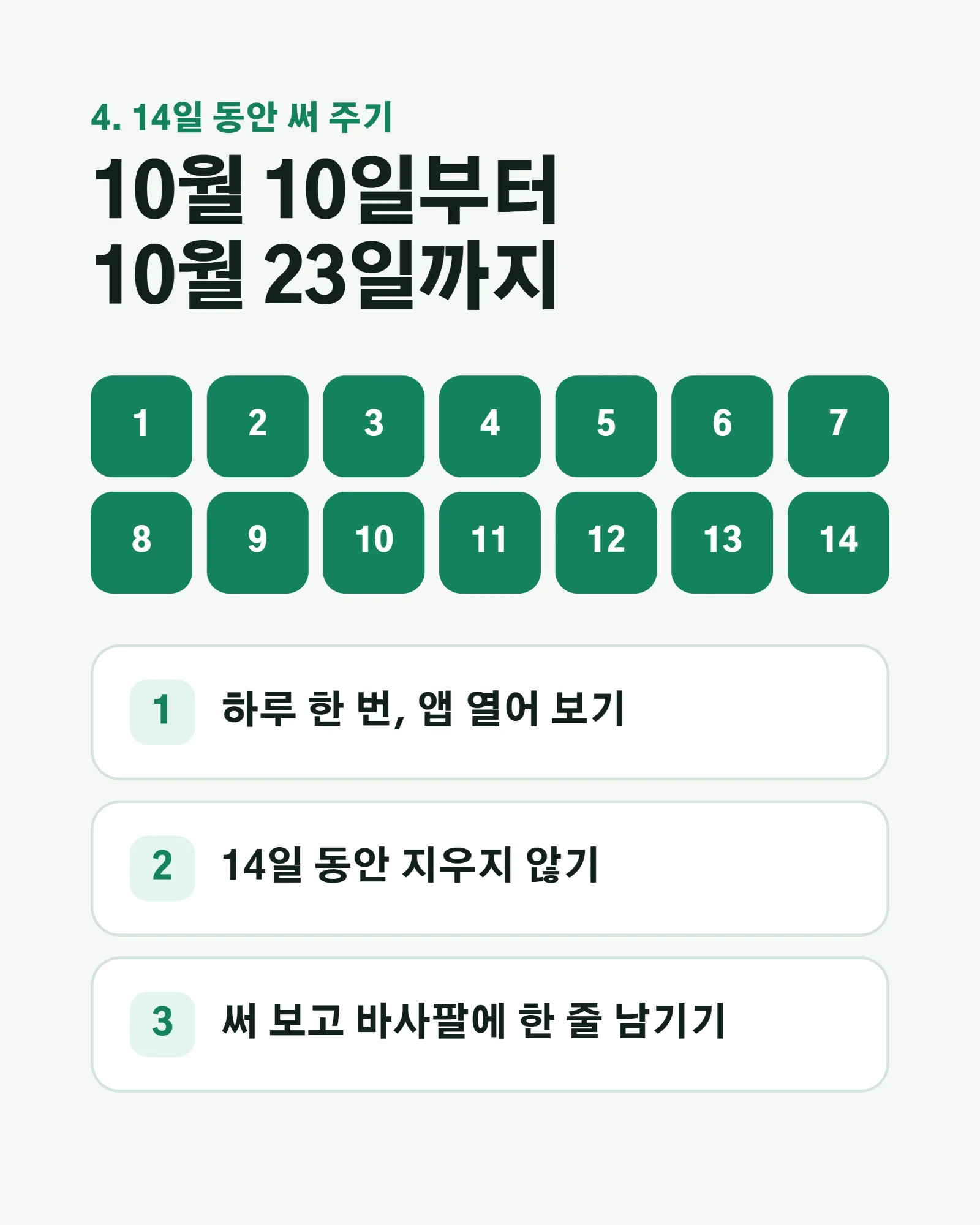 글 사진 5